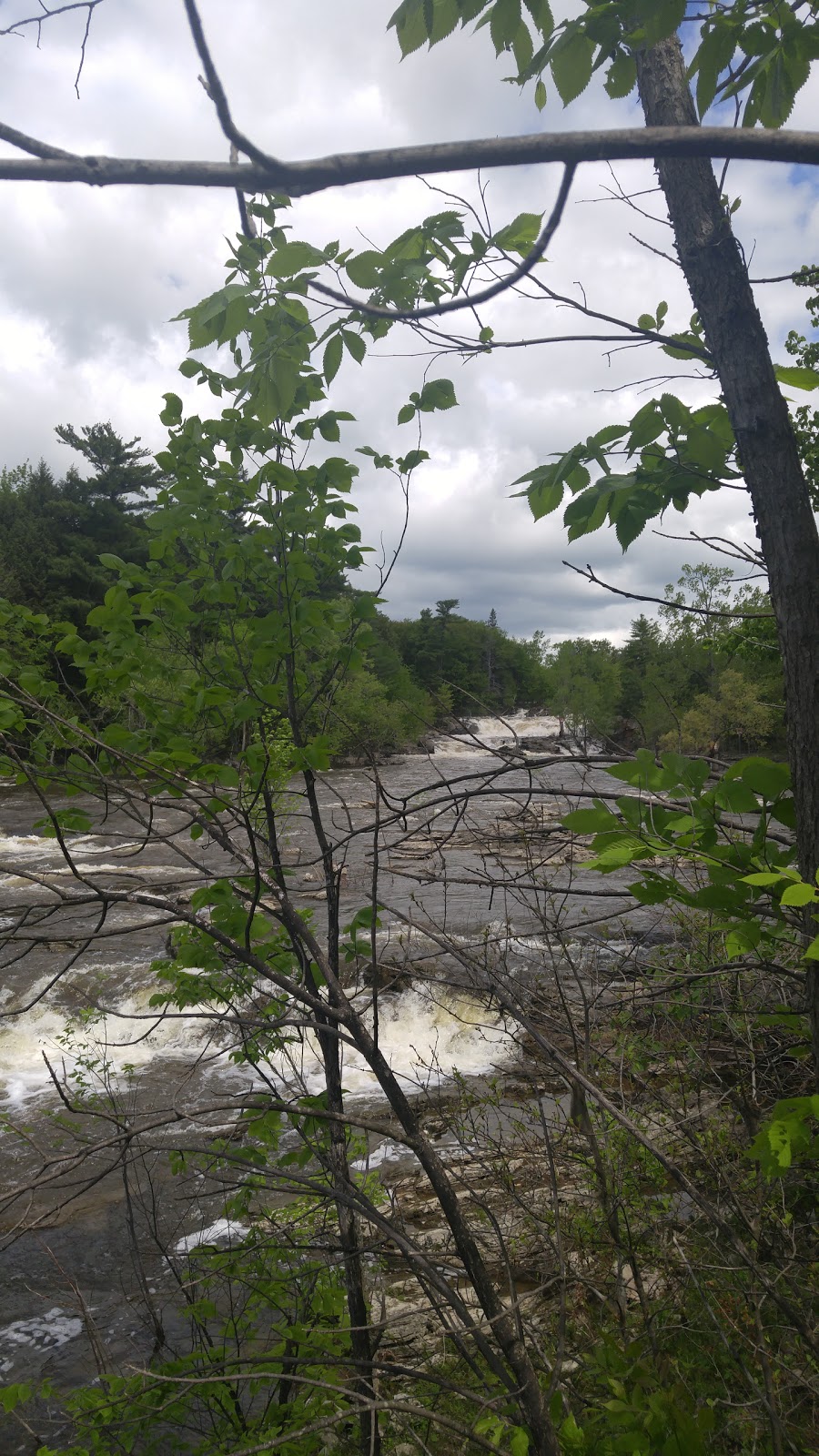 Parc Armand « Daddy » Lacelle | 833 Chemin de Masson, Gatineau, QC J8M 1A3, Canada