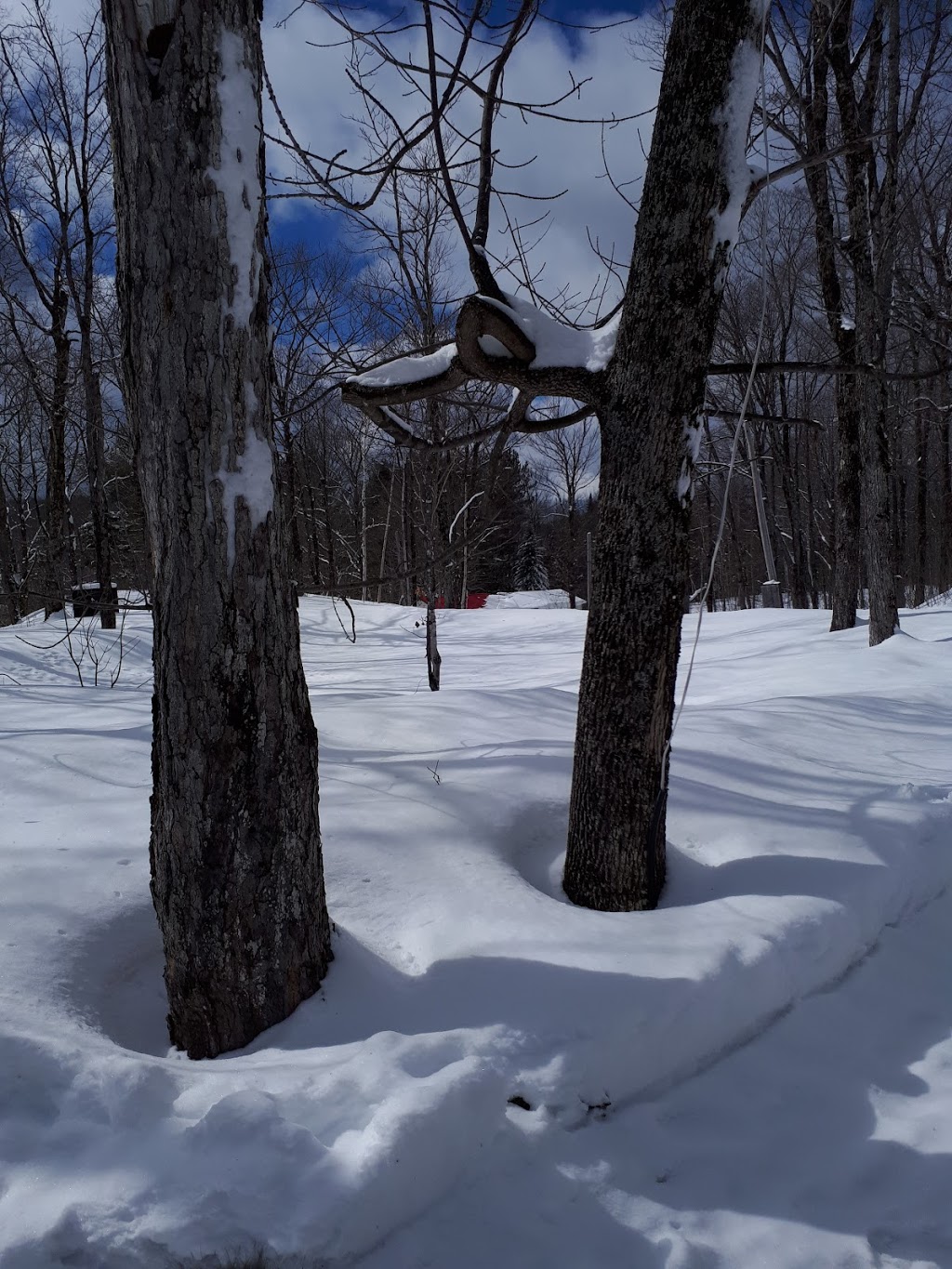 Cabane à sucre Sucrerie Busque | 25 Route du Lac-Poulin, Saint-Benoît-Labre, QC G0M 1P0, Canada | Phone: (418) 228-0045