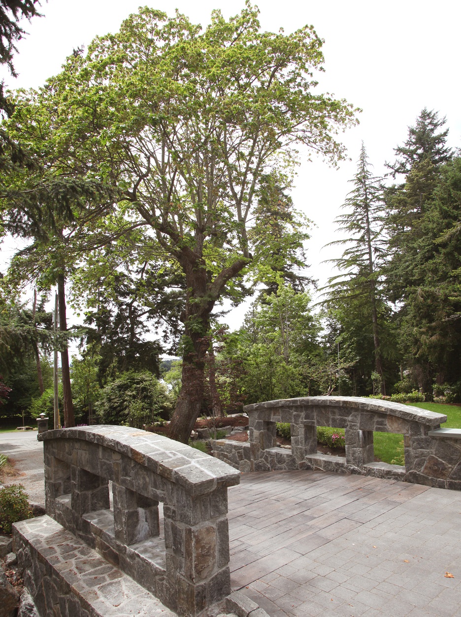 Acacia Landscape Inc | 1018 Beckwith Ave, Victoria, BC V8X 3S4, Canada | Phone: (250) 595-0527