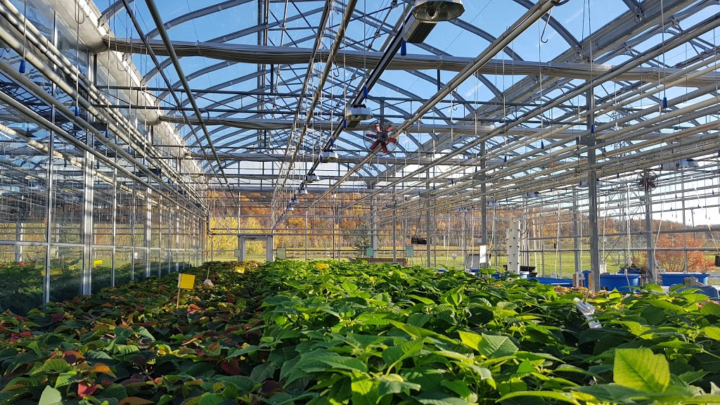 Niagara College Greenhouse Nursery | 135 Taylor Rd, Niagara Falls, ON L2H 0H5, Canada | Phone: (905) 641-2252 ext. 4082