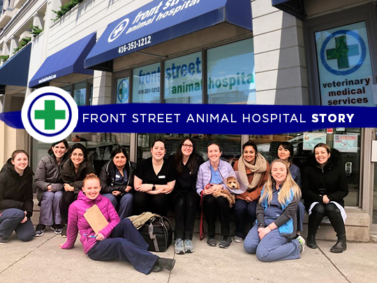 Front Street Animal Hospital | 548 Front St W, Toronto, ON M5V 3N5, Canada | Phone: (416) 351-1212