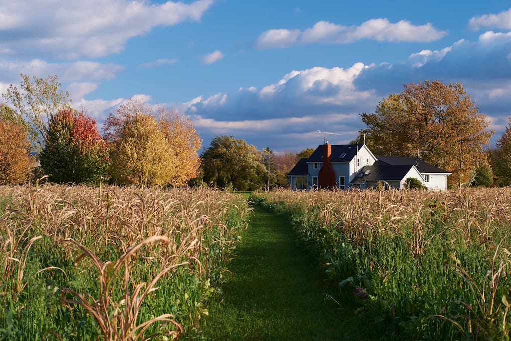 Ray’s Farm | 4244 Firelane 17, Sherkston, ON L0S 1R0, Canada | Phone: (289) 668-5530