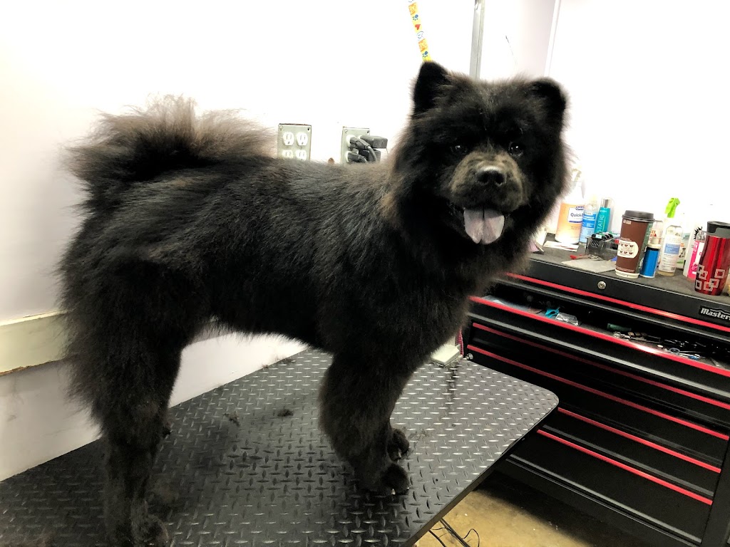 Big Red Dog Grooming | 1016 Keith Rd, Sherwood Park, AB T8A 1G3, Canada | Phone: (780) 819-7894