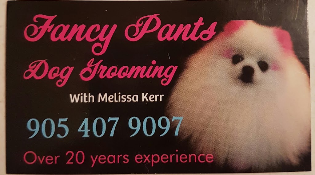 Fancy Pants Dog Grooming | 2483 Industrial St unit 3, Burlington, ON L4P 1A6, Canada | Phone: (905) 407-9097