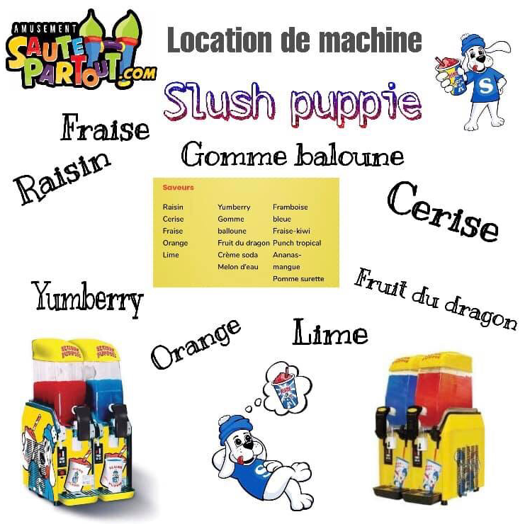 Amusement Saute Partout | 219 Chemin St Louis, Les Collines-de-lOutaouais, QC J0X 2W0, Canada | Phone: (819) 664-6352