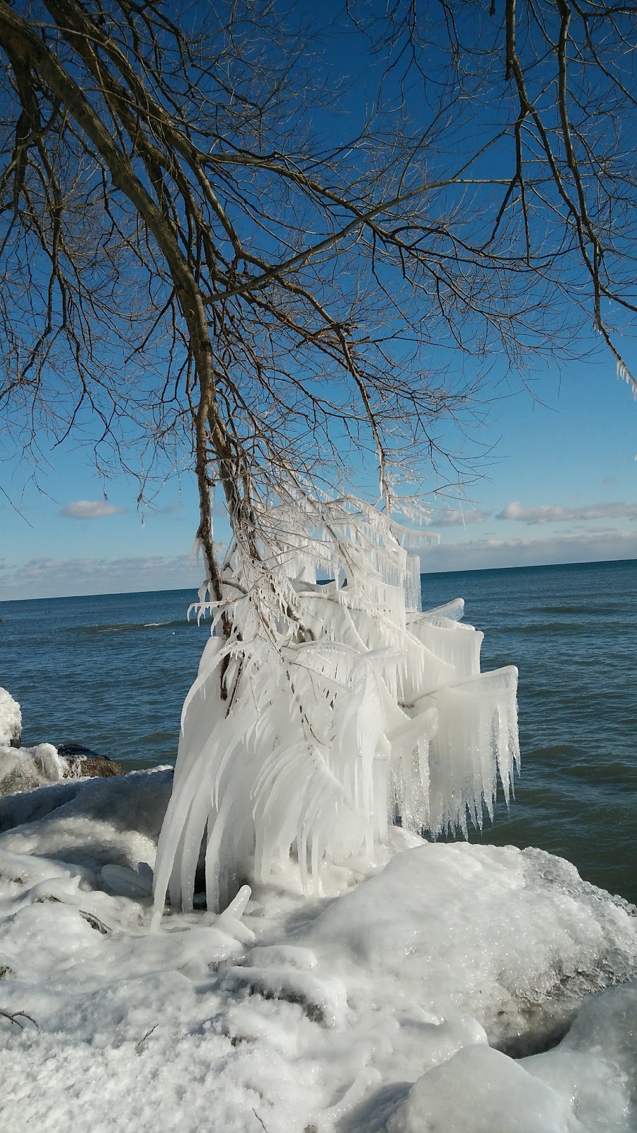 Wallace Park | Oakville, ON L6J 6L2, Canada