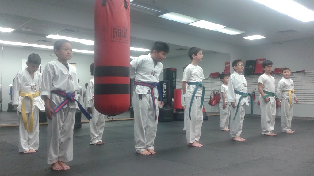 II Tigers Martial Arts | 24 Orchard Heights Blvd, Aurora, ON L4G 6T5, Canada | Phone: (905) 713-0206