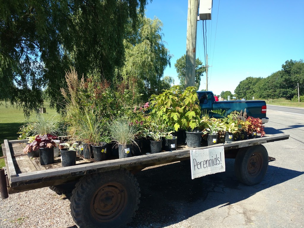 Westgate Landscape Supply | 995 King St W, Gananoque, ON K7G 2H5, Canada | Phone: (613) 382-3111