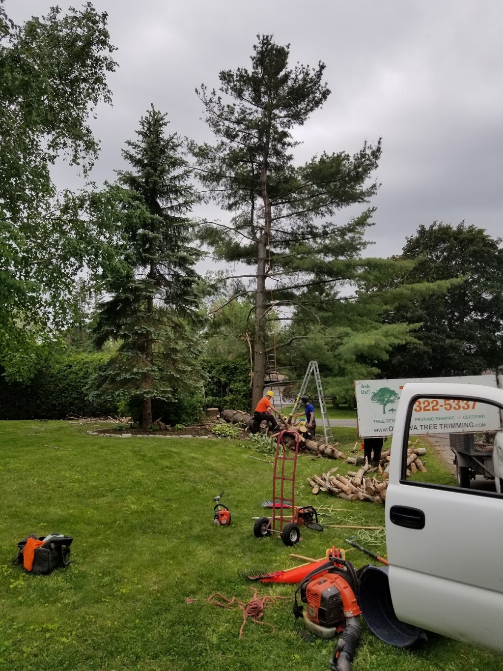 Ottawa Tree Trimming | 6301 Old Richmond Rd, Richmond, ON K0A 2Z0, Canada | Phone: (613) 322-5337