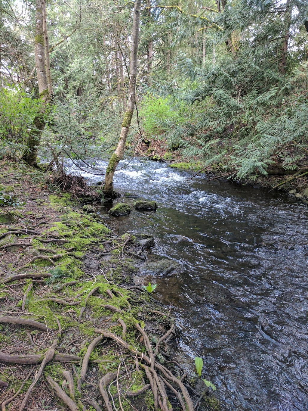 Millstream Creek 2 | Langford, BC V9B, Canada