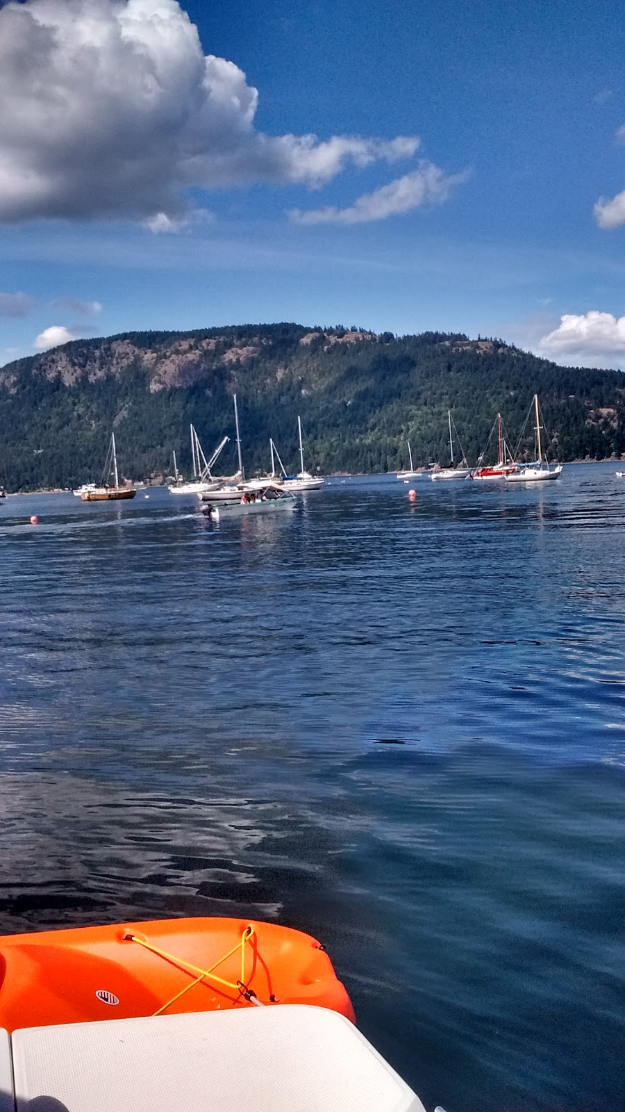 The Bluenose Marina | 1765 Cowichan Bay Rd, Cowichan Bay, BC V0R 1N1, Canada | Phone: (250) 748-2222