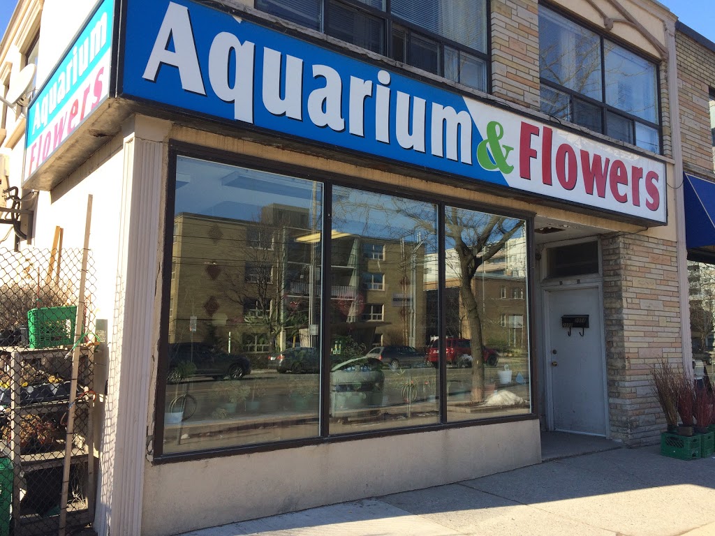 Aquarium Flowers | Toronto, ON M8V 1B6, Canada | Phone: (647) 748-6318