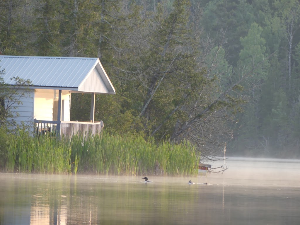 Domaine du lac des cèdres | 68 Chemin du Lac-des-Cèdres, Saint-Damien-de-Buckland, QC G0R 2Y0, Canada | Phone: (418) 642-2955