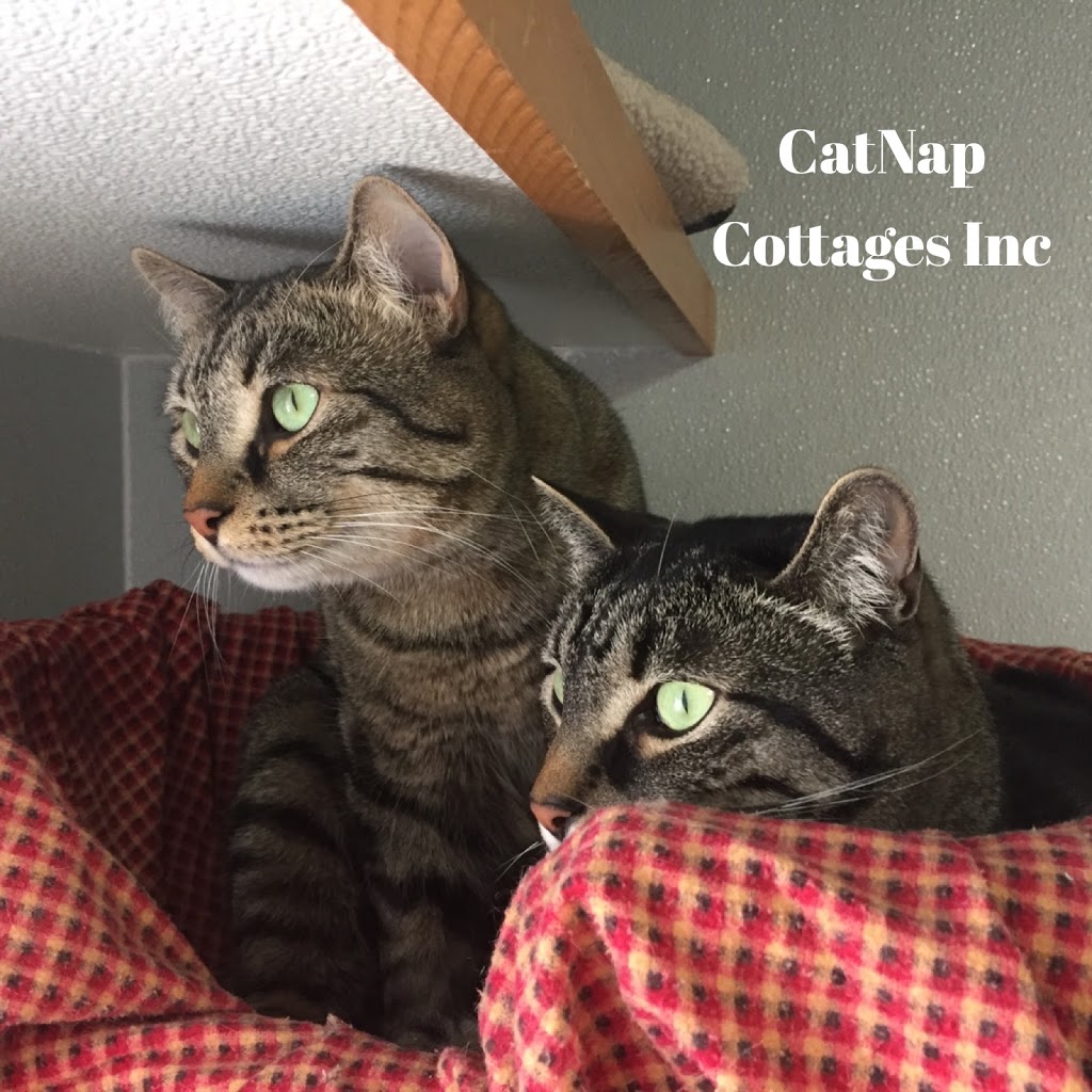 CatNap Cottages Inc | 591 Arkell Rd, Puslinch, ON N0B, Canada | Phone: (519) 766-0511