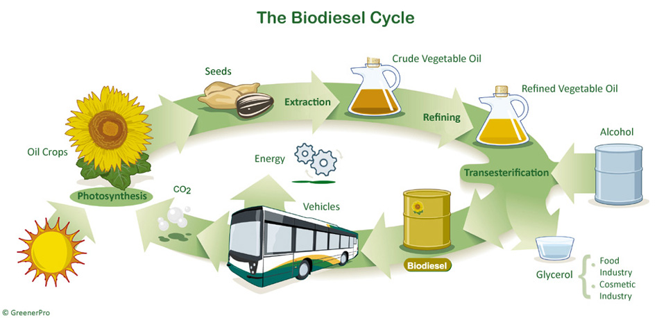 EcoZero | 11568 Eburne Way #123, Richmond, BC V6V 0A7, Canada | Phone: (604) 945-8864