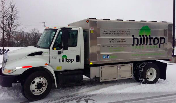 Hilltop Tree Care | 112 Guelph St, Georgetown, ON L7G 4T1, Canada | Phone: (905) 877-5279