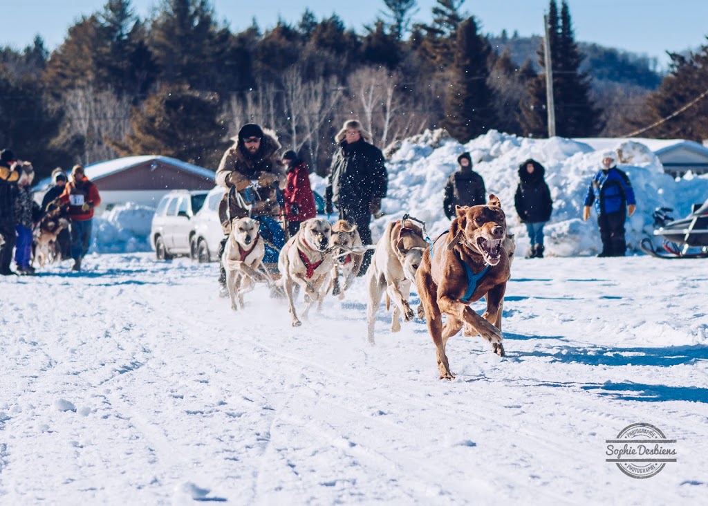 Sophie Design & Photographie | 15 Chemin du Lac de la Carpe, Lac-des-Plages, QC J0T 1K0, Canada | Phone: (819) 216-7463