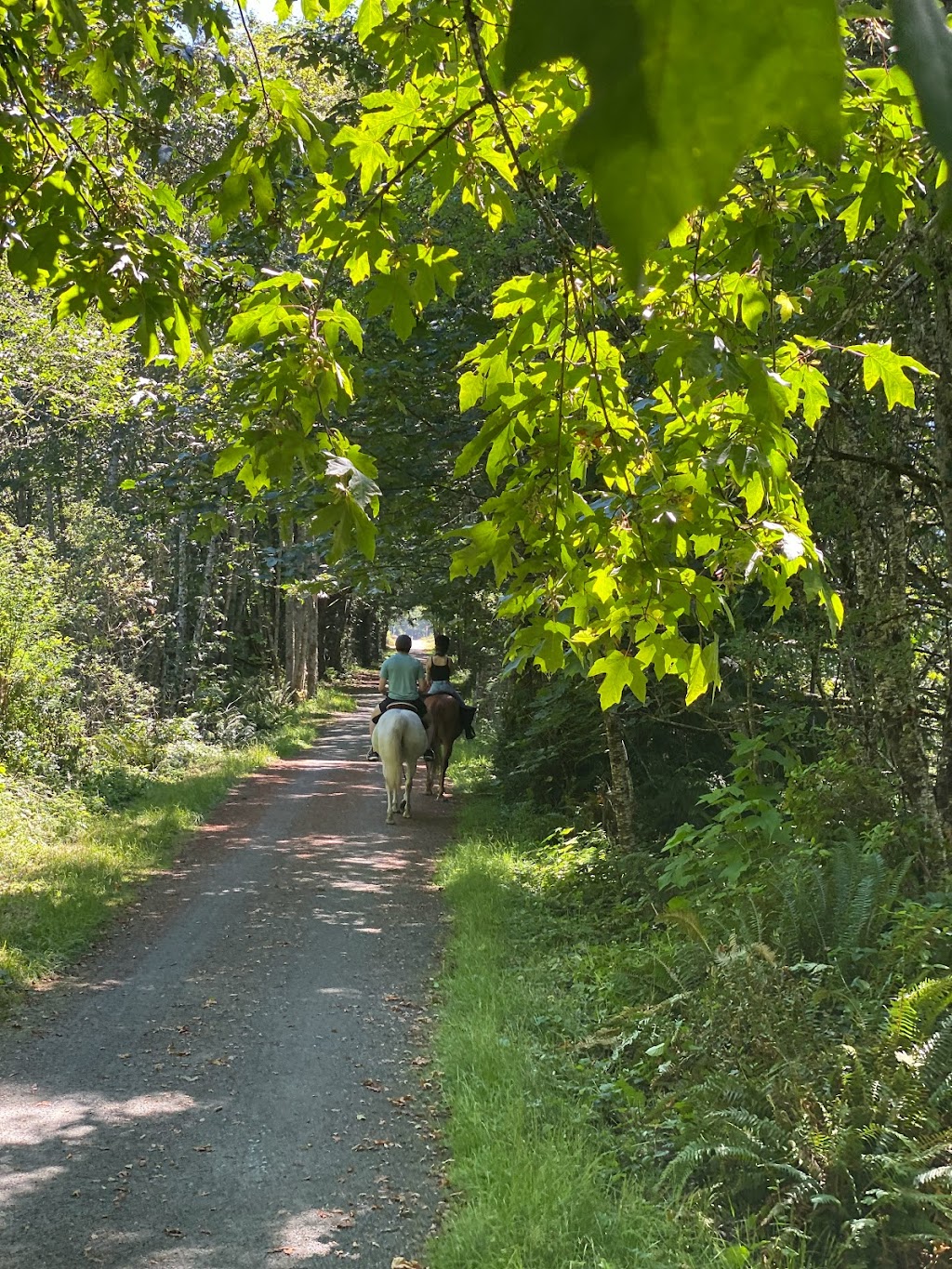 Giddy-Up Equestrian | 5480 Sooke Rd, Sooke, BC V9Z 0C7, Canada | Phone: (236) 882-2023