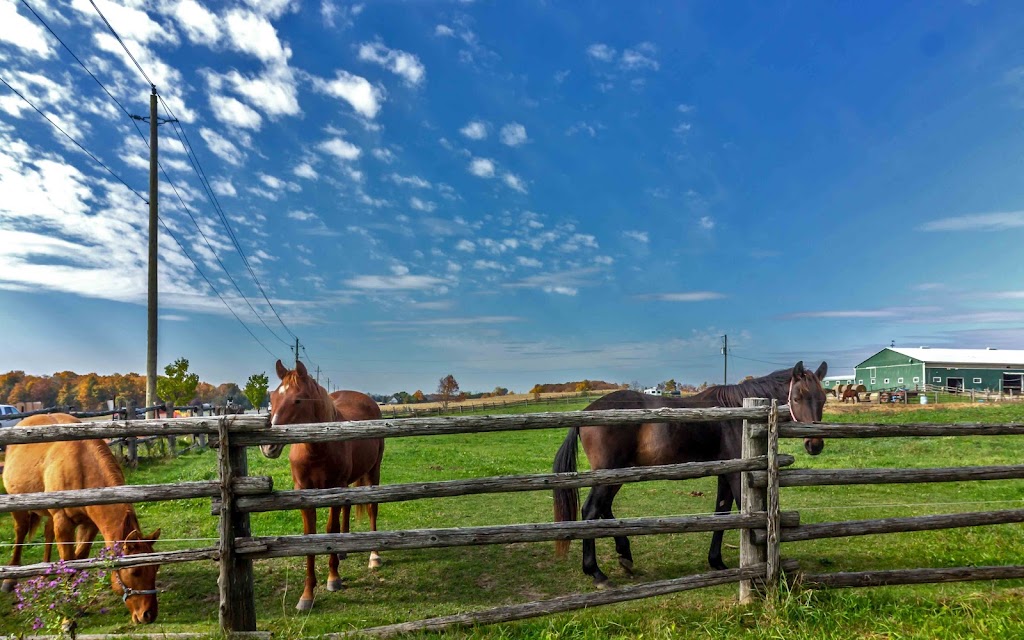 Pause Awhile Equestrian Centre | 13243 McCowan Rd, Whitchurch-Stouffville, ON L4A 7X5, Canada | Phone: (905) 640-7232