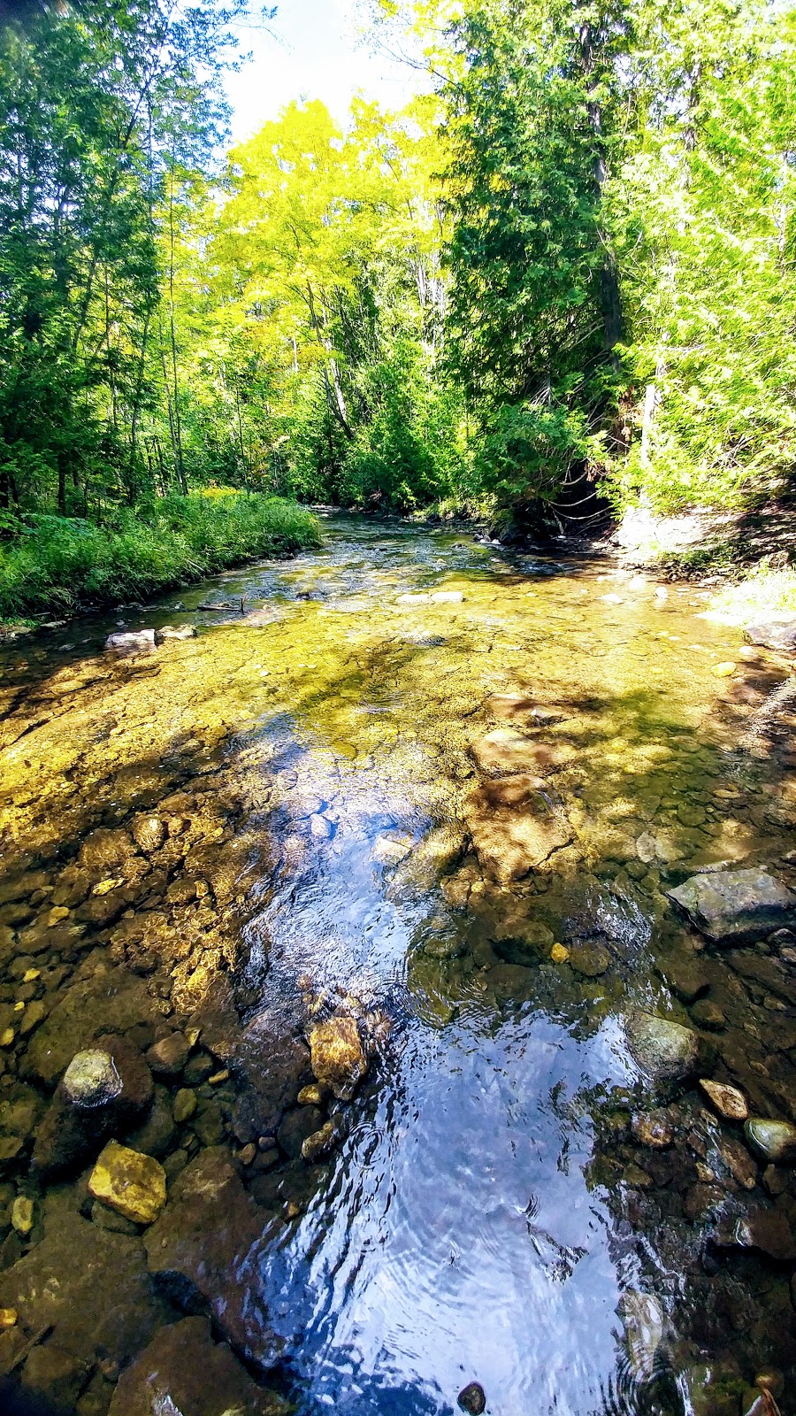 Bruce Trail | Hockley Rd, Orangeville, ON L9W 2Y8, Canada