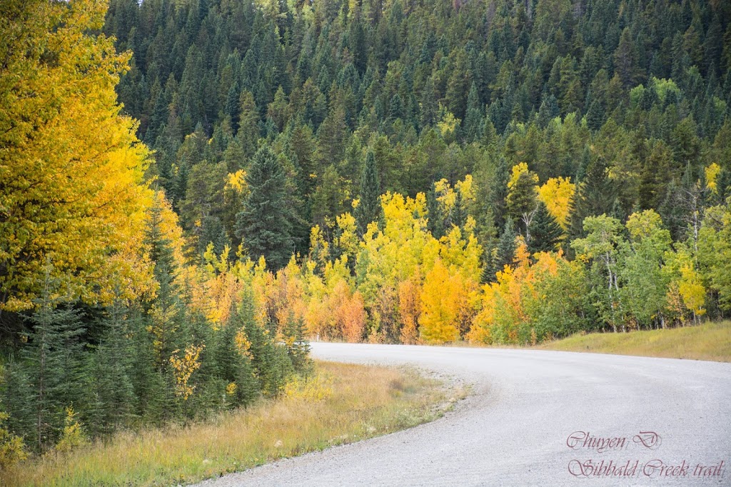 Sibbald Lake Provincial Campground | 7116 AB-68, Bragg Creek, AB T0L 0K0, Canada | Phone: (403) 673-2163