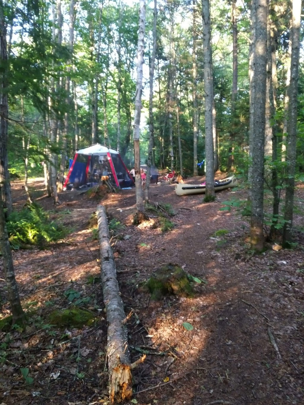 Camping Lac Saint-Bernard, Mastigouche Reserve | Chemin de Carufel, Saint-Alexis-des-Monts, QC J0K 1V0, Canada | Phone: (800) 665-6527