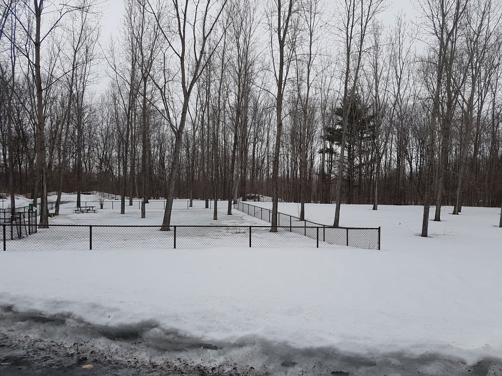 Dog park | 1P0, Rigaud, QC J0P 1P0, Canada