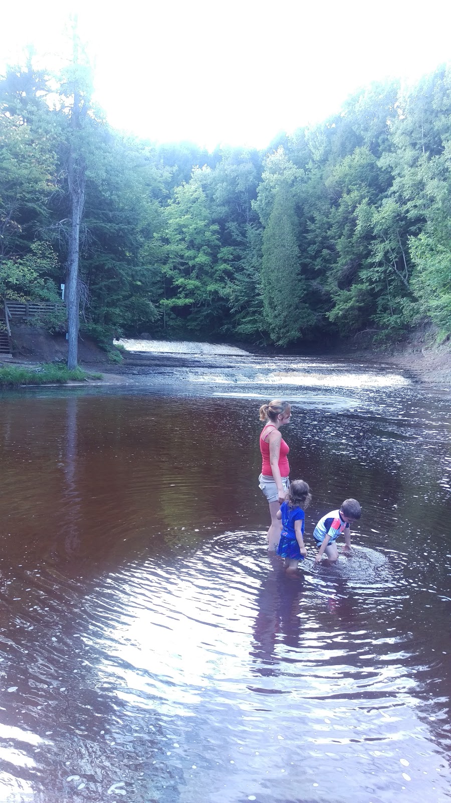 Park of the Gentilly river | 1000 Route des Flamants, Sainte-Marie-de-Blandford, QC G0X 2W0, Canada | Phone: (819) 298-2455