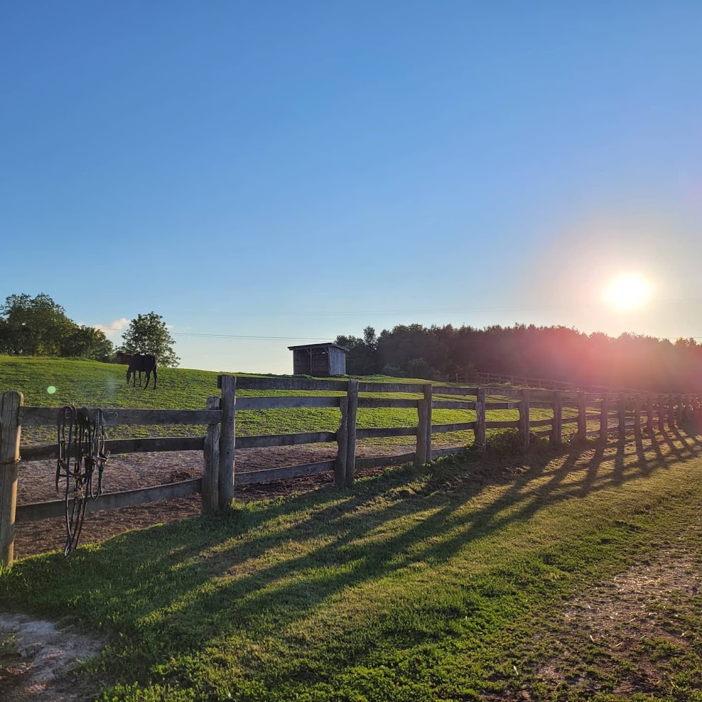 Greenfields Stables West | Township Rd 11, Bright, ON N0J 1G0, Canada | Phone: (519) 716-9600