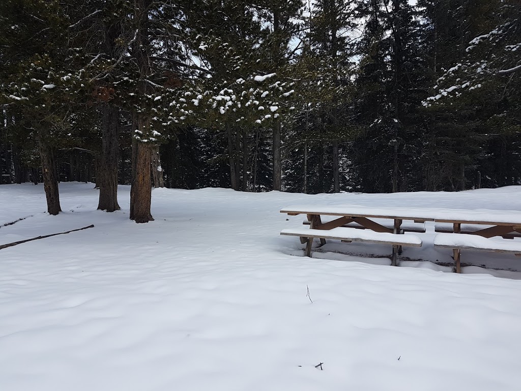 Waiparous Group Campground | Bighorn No. 8, AB T0L, Canada | Phone: (403) 637-2198