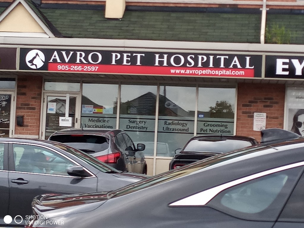 Avro Pet Hospital | 9699 Jane St #31, Maple, ON L6A 0A4, Canada | Phone: (905) 553-3505