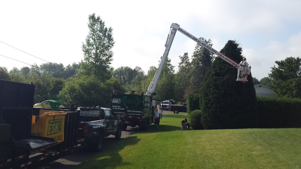 Arboriculture Esh Inc | 896 Rue Lamontagne, Saint-Jérôme, QC J5L 1V2, Canada | Phone: (450) 438-8002