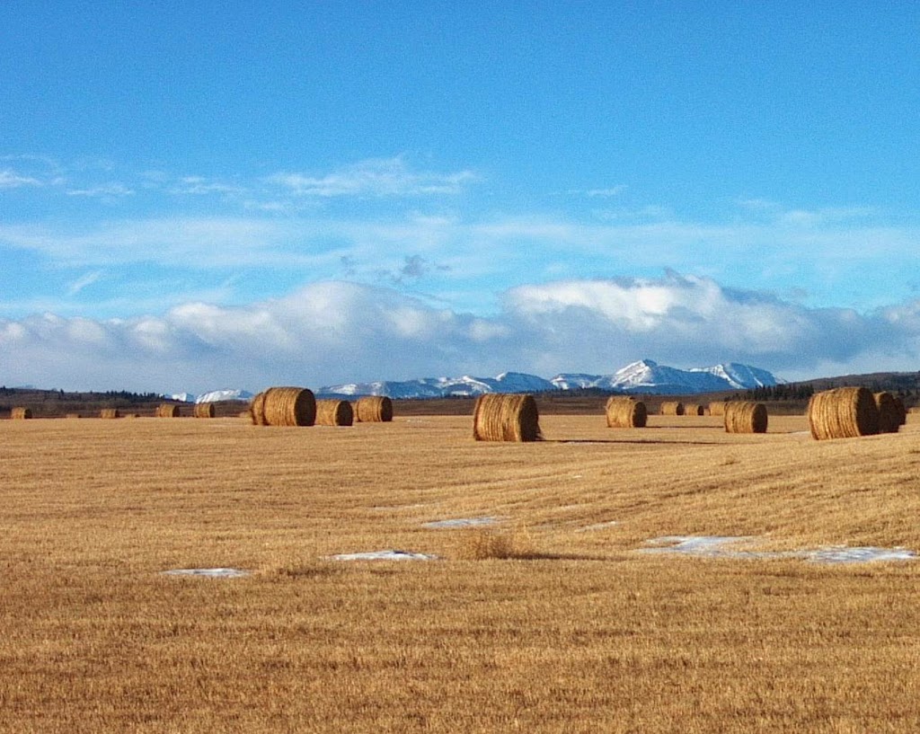 McCallum Environmental Ltd | 2 Bluewater Rd Suite 115, Bedford, NS B4B 1G7, Canada | Phone: (902) 446-8252