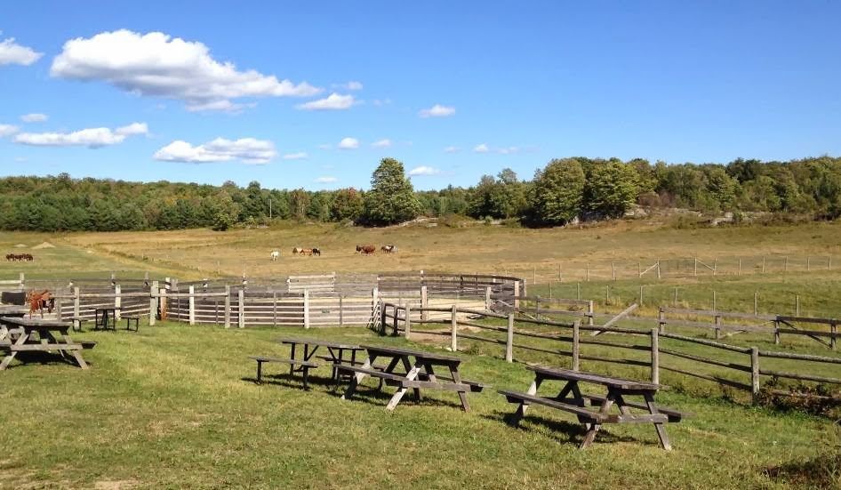 Winding Fences Farm | 1102 Ambleside Ln, Utterson, ON P0B 1M0, Canada | Phone: (705) 769-1418