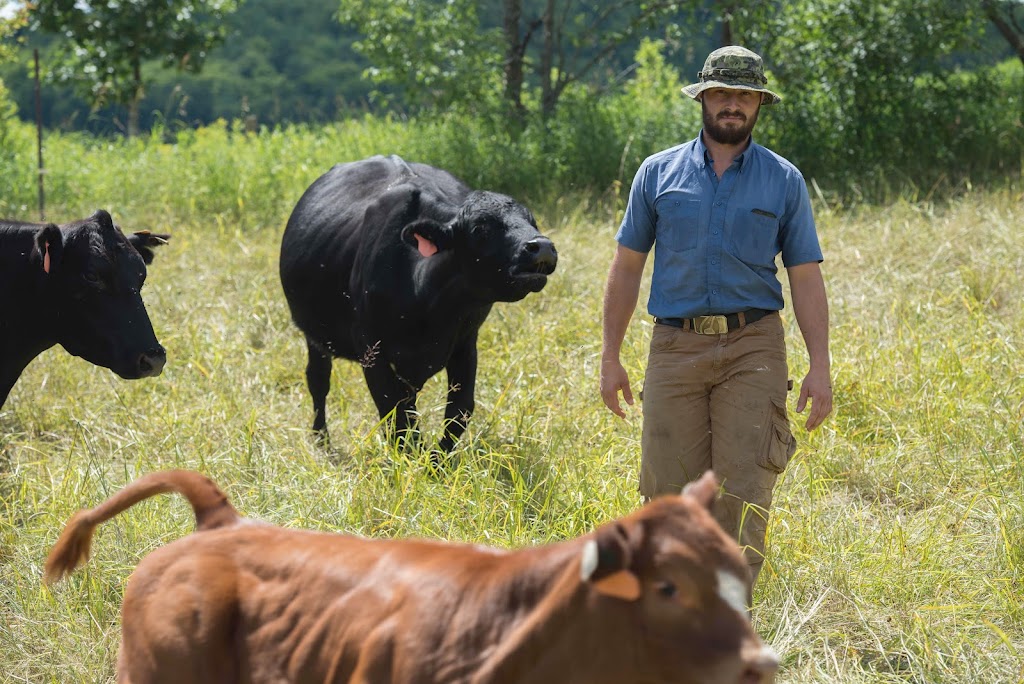 Ferme Le Bel | 201 Chem. Irwin, Alcove, QC J0X 1A0, Canada | Phone: (873) 353-2259