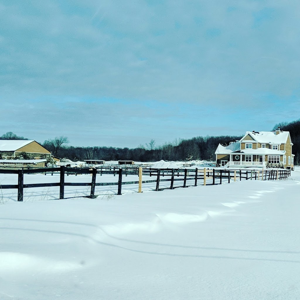 Ferme L. L. Warmblood Farm | 9265 Rue de Belle Rivière, Mirabel, QC J7N 2V9, Canada | Phone: (514) 269-8503