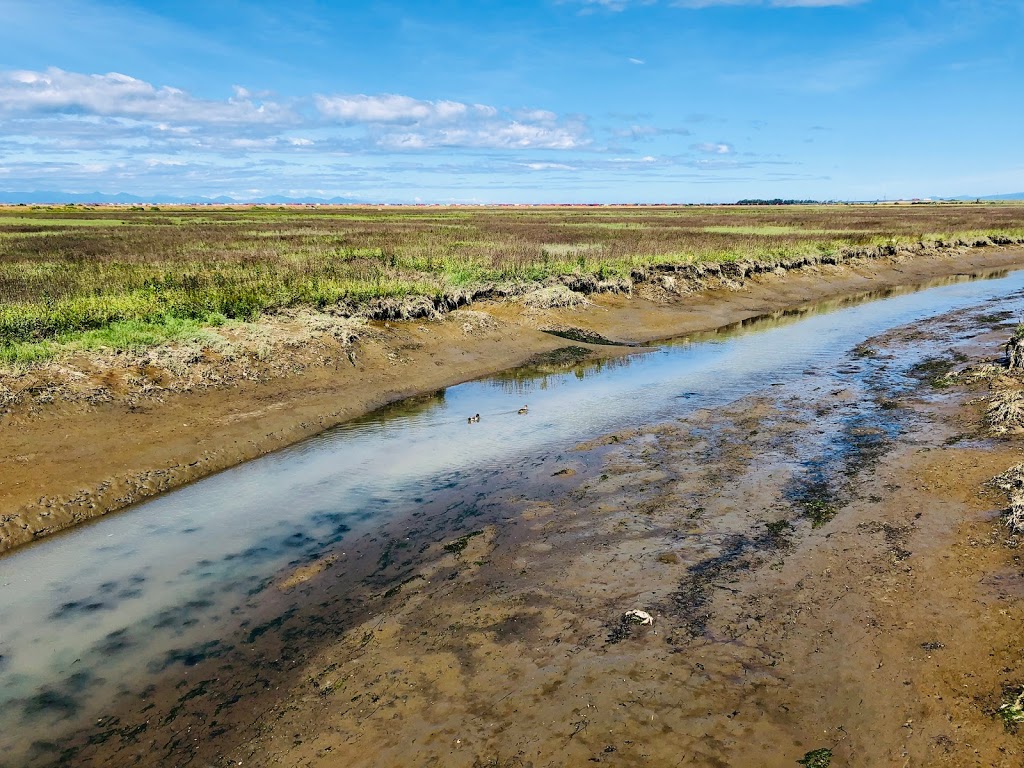 Tsawwassen Landing Boardwalk | 1926 Tsawwassen Dr N, Tsawwassen, BC V4M 4G4, Canada