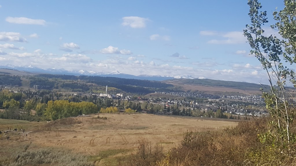 Cochrane Farmers Market | parking lot Spray Lake Sawmills Family Sports Centre, 800 Griffin Rd E, Cochrane, AB T4C 2B8, Canada | Phone: (403) 851-0562