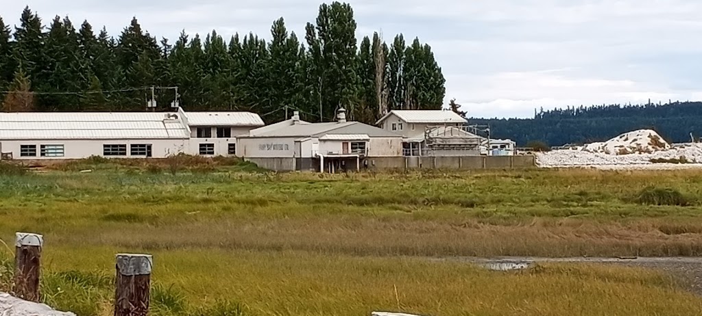 Fanny Bay Oysters | 8260 Island Hwy S, Fanny Bay, BC V0R 1W0, Canada | Phone: (250) 335-0125