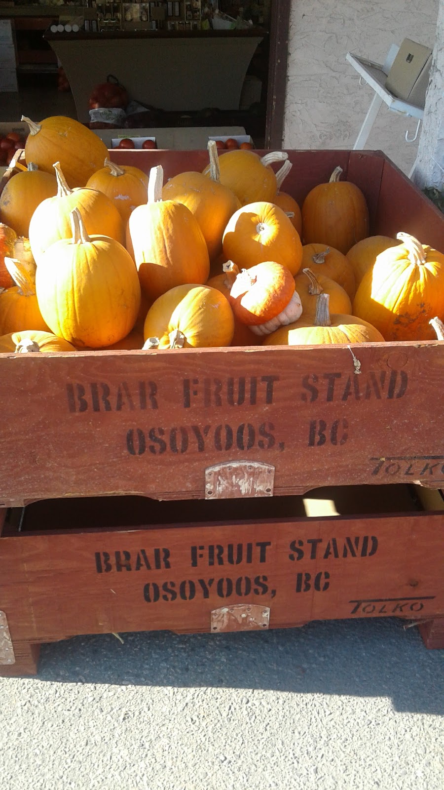 Brar Fruit Stand & Orchards | 4280 BC-3, Osoyoos, BC V0H 1V0, Canada | Phone: (250) 495-6604