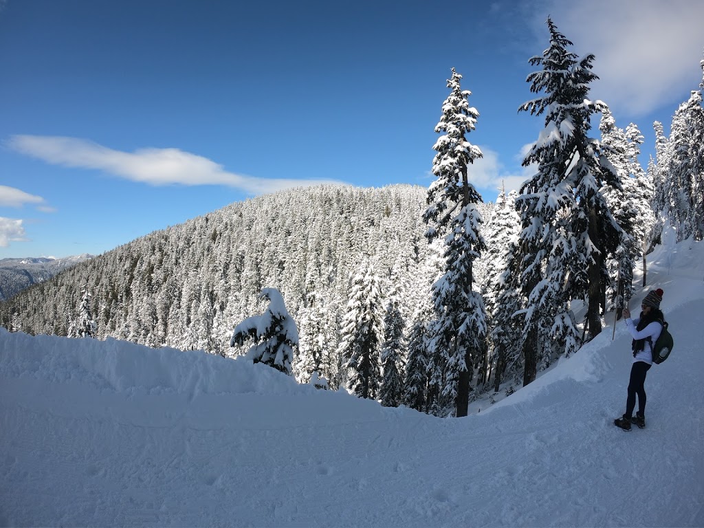 Ridge Trail | Ridge Trail, North Vancouver, BC V7K 1X8, Canada