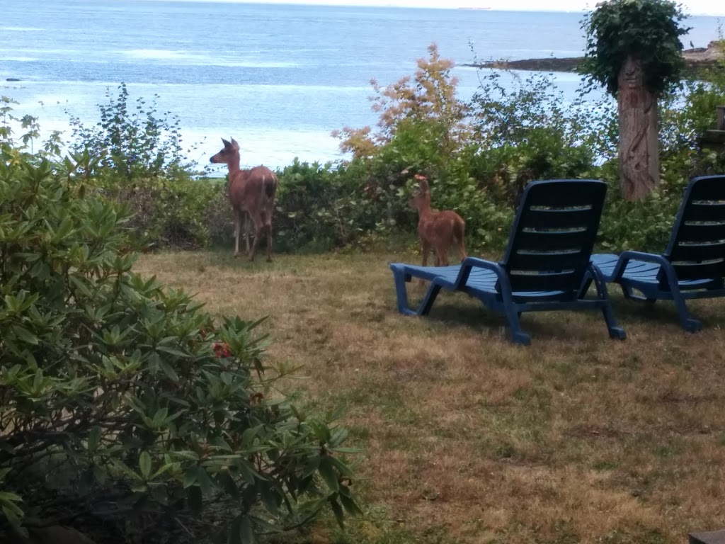 Morning Beach | 109 Harper Rd, Galiano Island, BC V0N 1P0, Canada