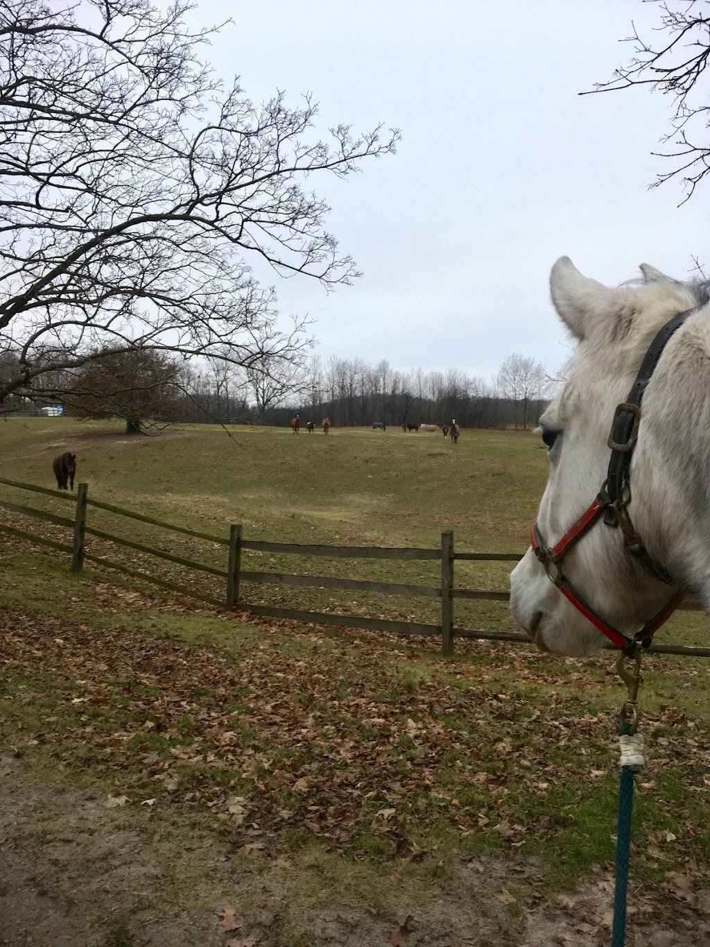 View Point Farm | 2465 Britannia Rd, Burlington, ON L7P 0E9, Canada | Phone: (905) 335-1963