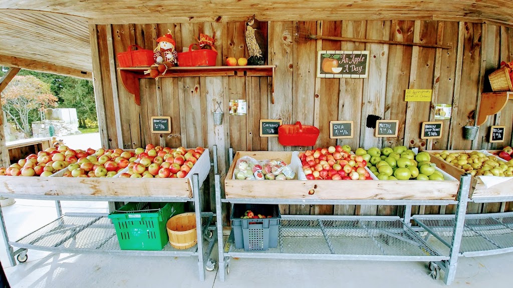 Orchard Home Farm | 235 Howell Rd, Saint George, ON N0E 1N0, Canada | Phone: (519) 448-1111