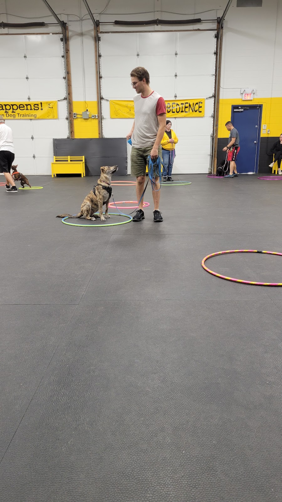 Sit Happens! Companion Dog Training | 2180 Pegasus Way NE #4, Calgary, AB T2E 8M5, Canada | Phone: (403) 408-7309