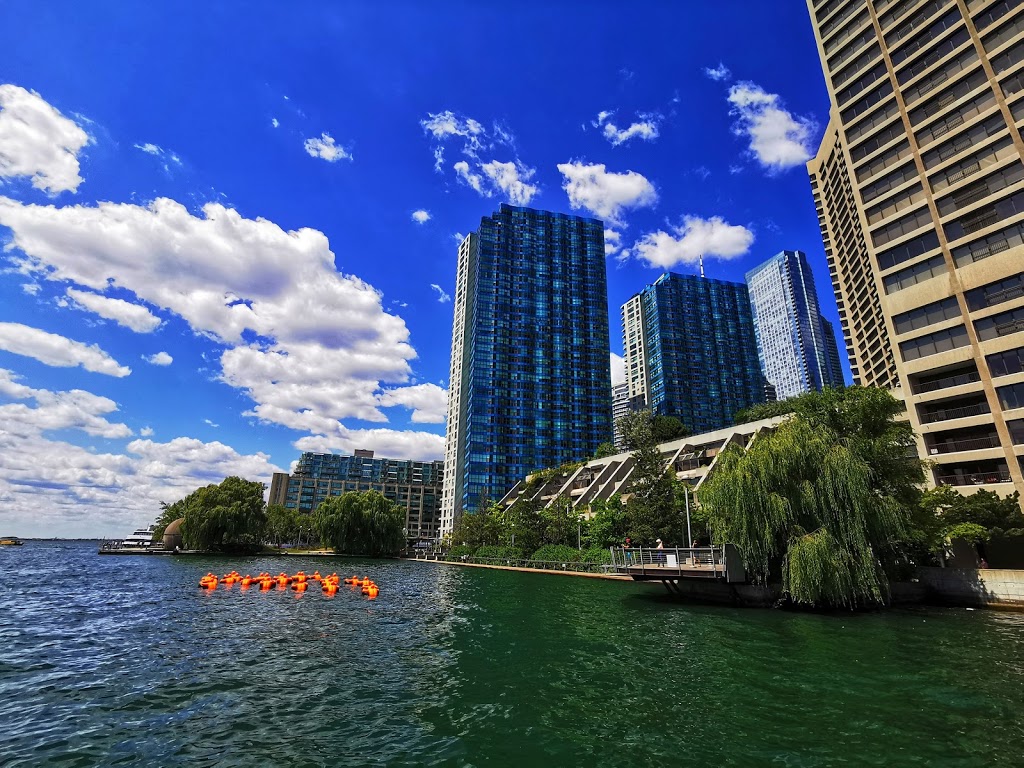 Harbour Square Park | 25 Queens Quay W, Toronto, ON M5J 2G4, Canada | Phone: (416) 392-2489