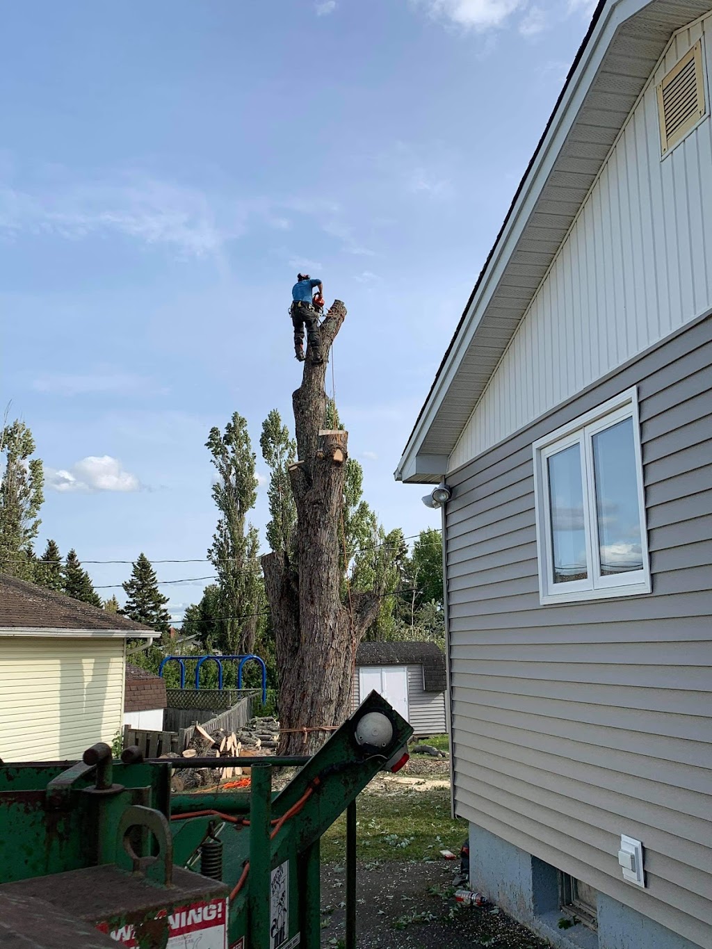 No Limits Tree Experts Inc. | 1359 NB-114, Lower Coverdale, NB E1J 1C5, Canada | Phone: (506) 609-8733