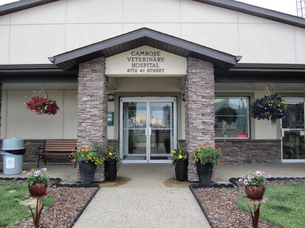 Camrose Veterinary Hospital | 4712 41 St, Camrose, AB T4V 0Z6, Canada | Phone: (780) 672-3171