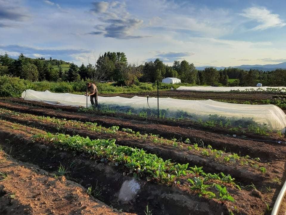 Les Jardins de la Minga | 91 Chemin Ste Croix, Baie-Saint-Paul, QC G3Z 1A4, Canada | Phone: (418) 435-5262