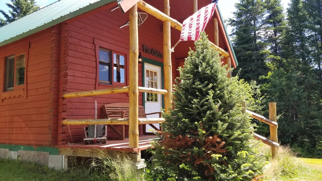 Twin Birches Cabin | 98 Cobblestone Road, Colebrook, NH 03576, USA | Phone: (603) 396-8392